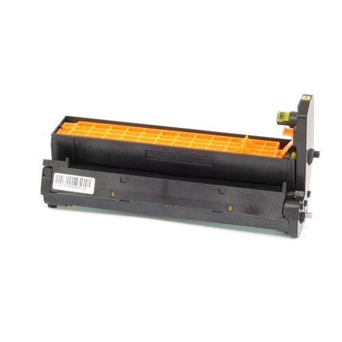 TTP-43870005