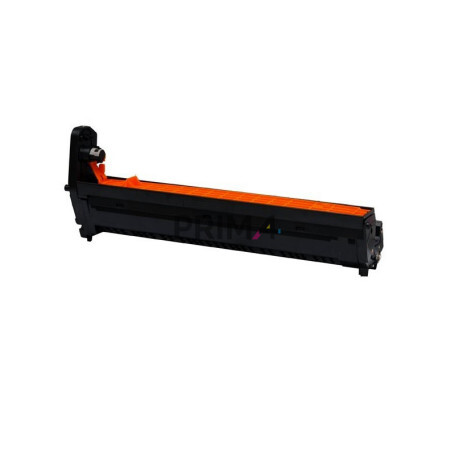 TTP-43870006